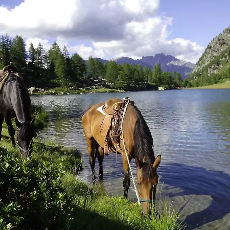 Дом отдыха Chez Moillet *