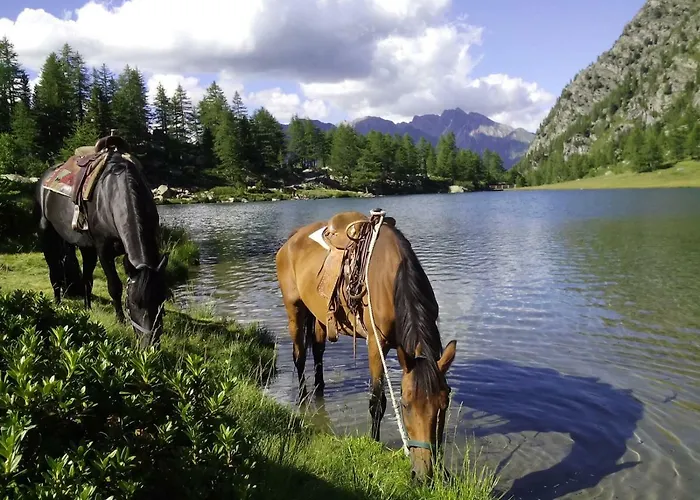 度假居 Chez Moillet *